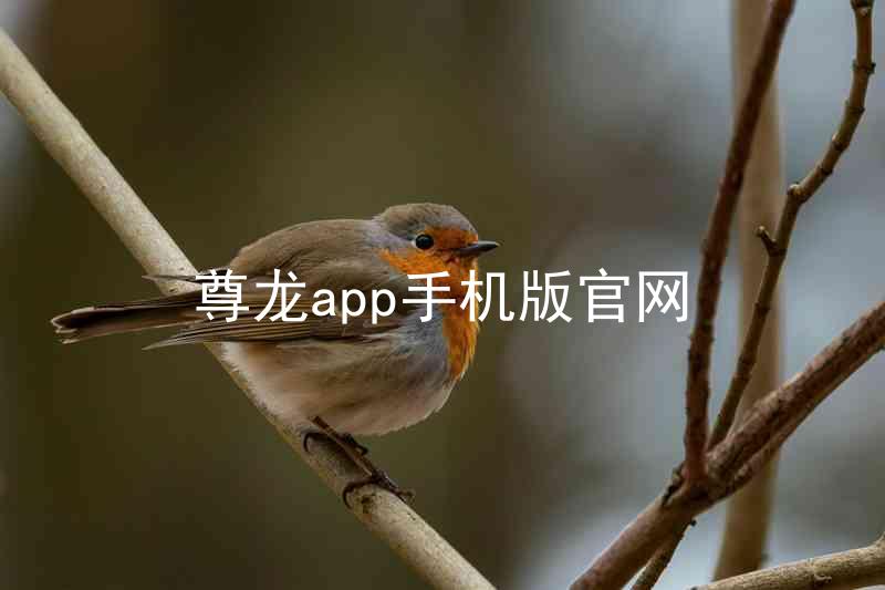 尊龙app手机版官网