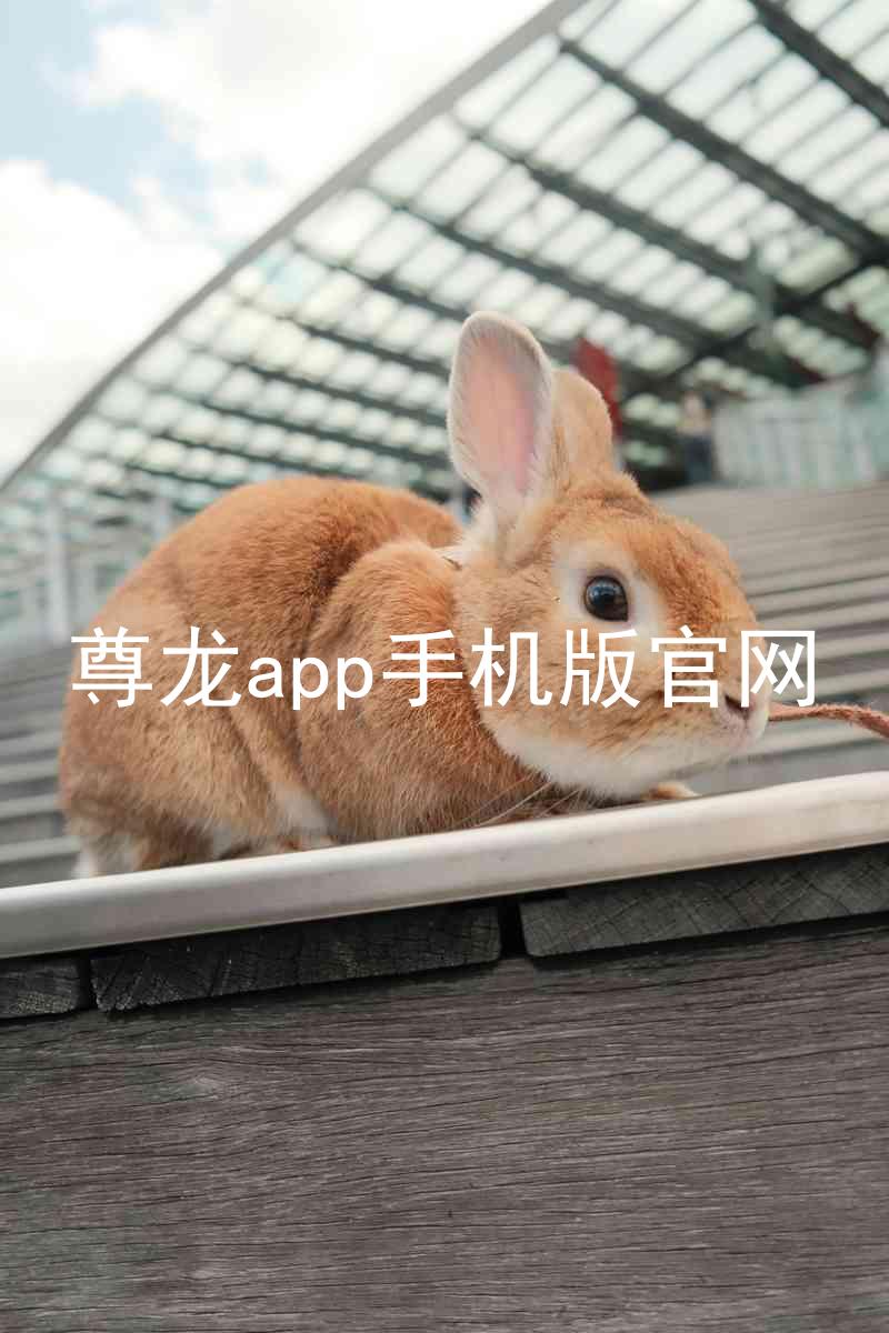 尊龙app手机版官网